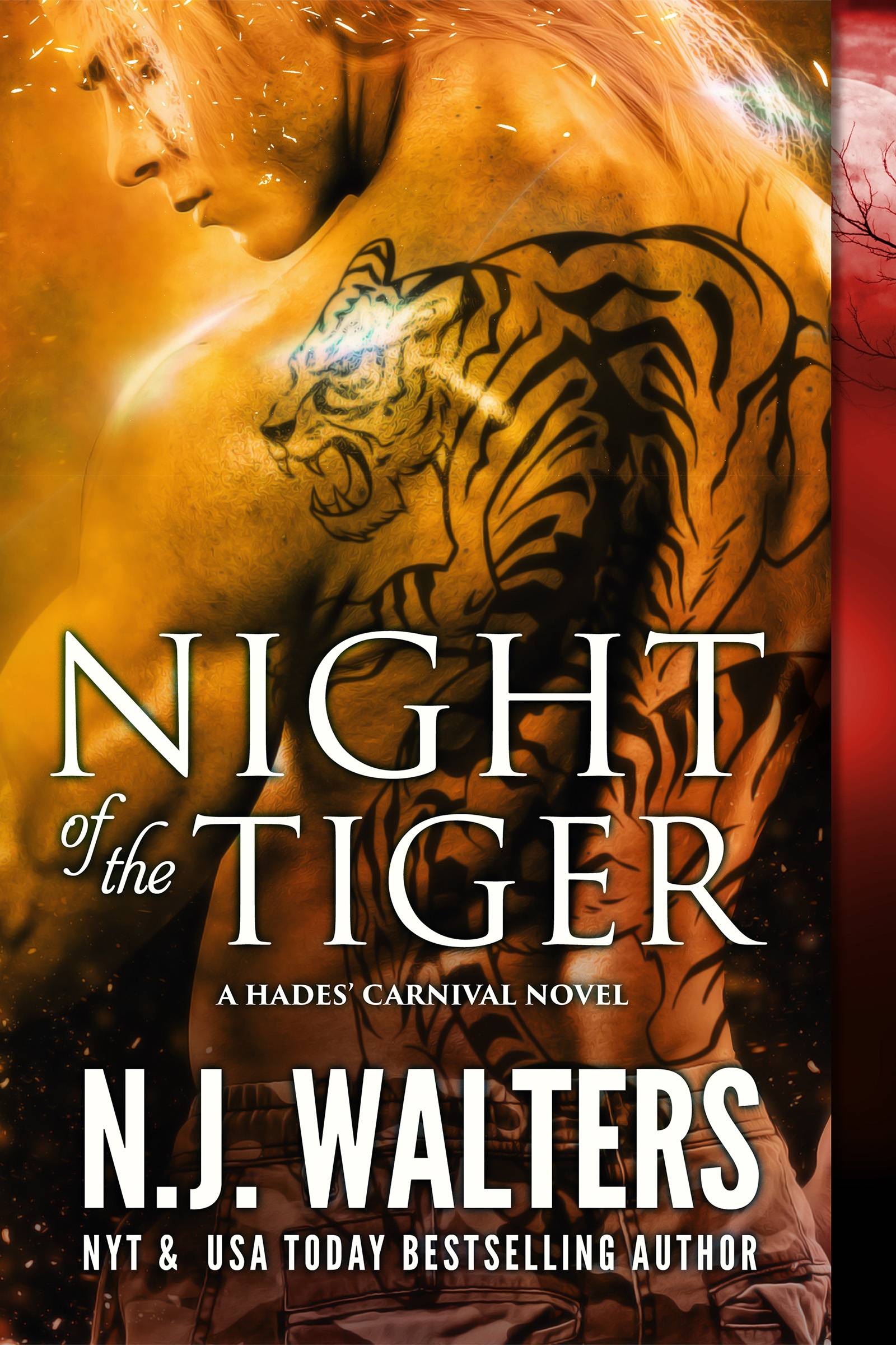 Cover Image
