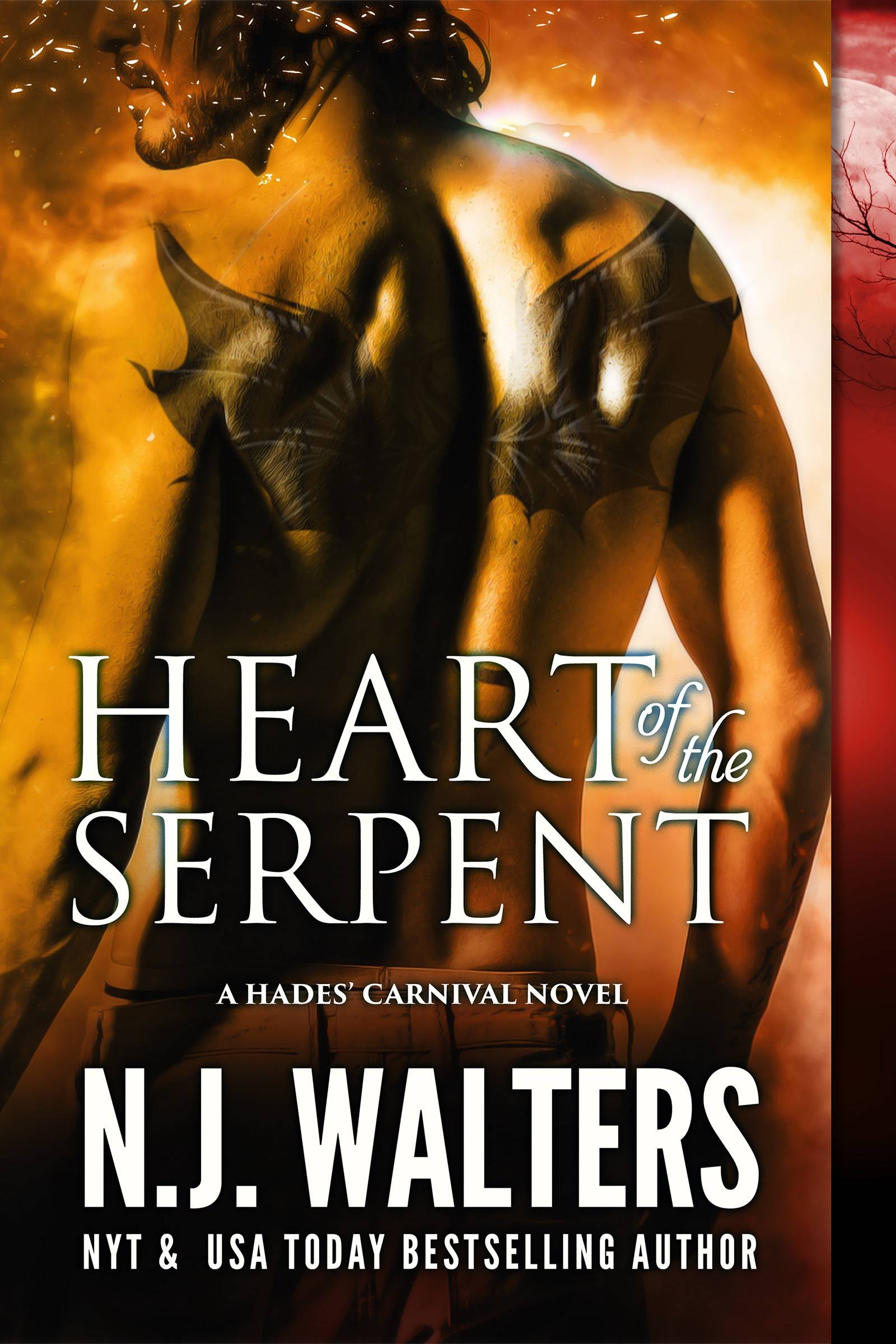 Cover Image