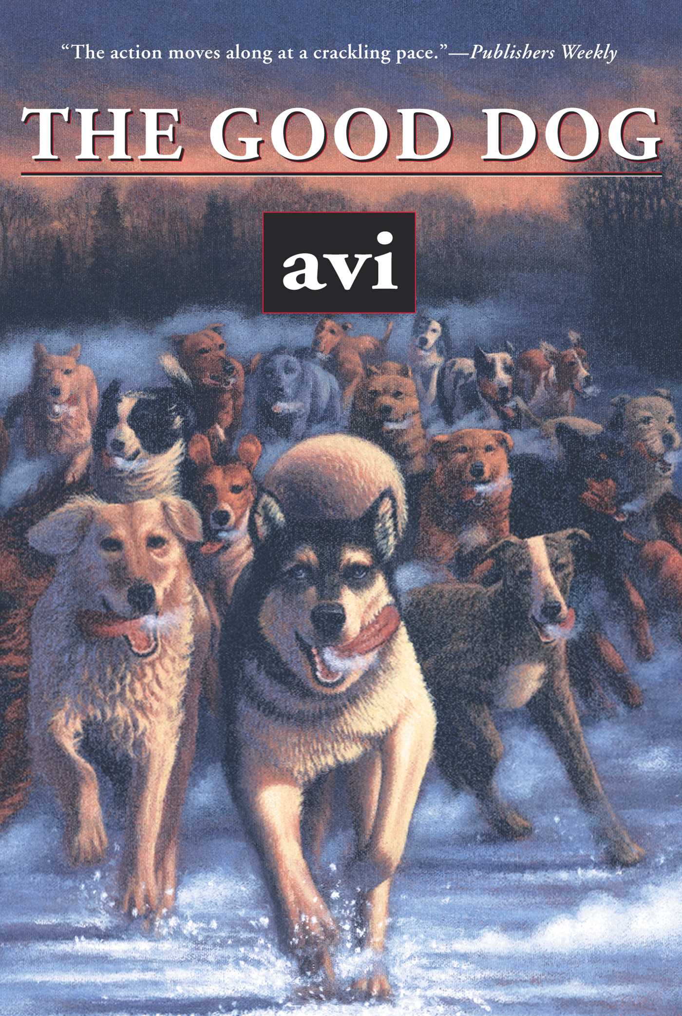 Cover Image