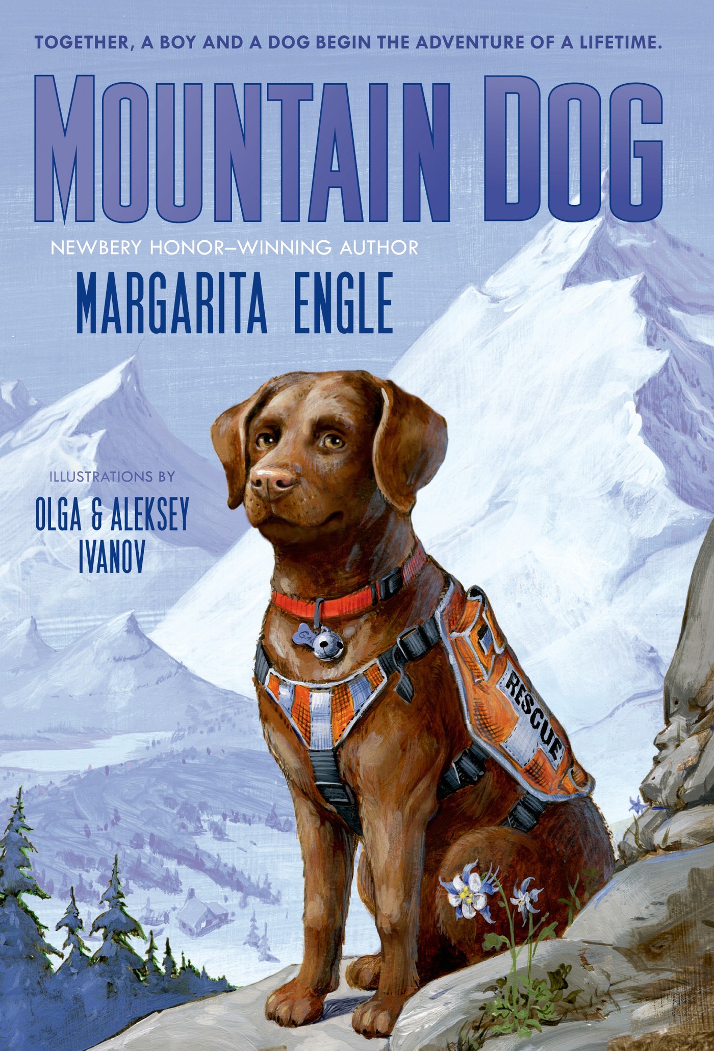 Cover Image