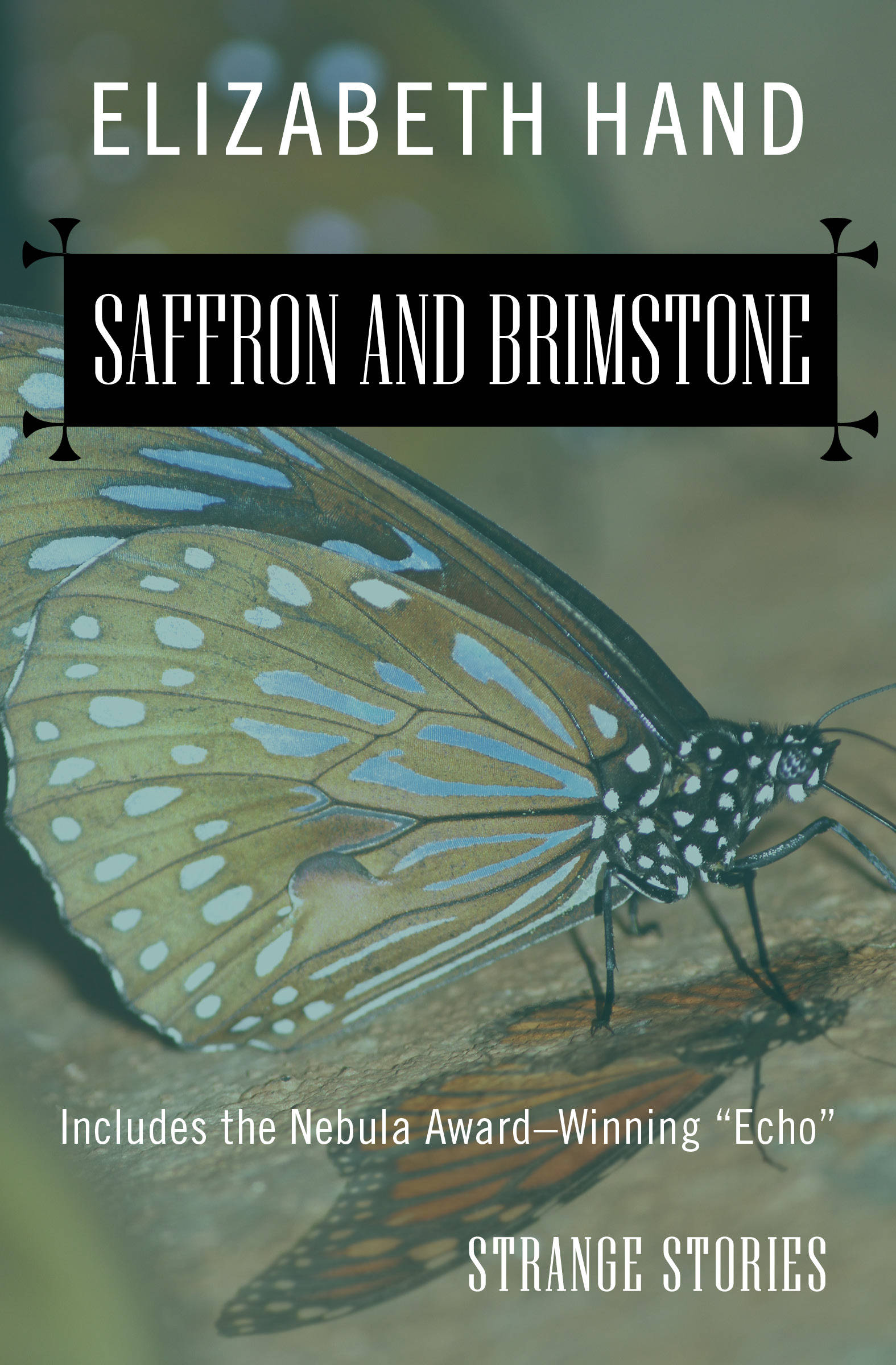 Cover Image