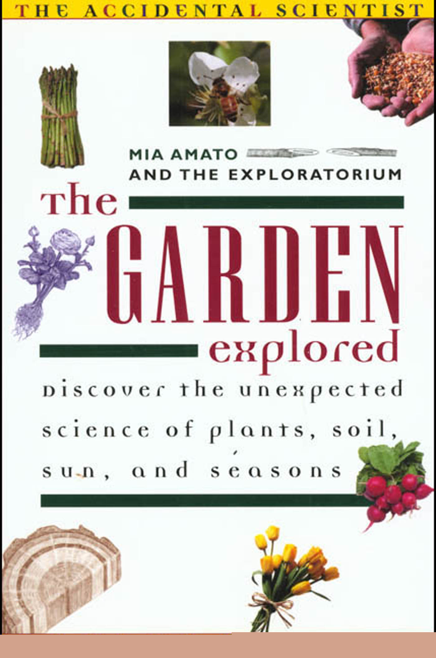 Cover Image
