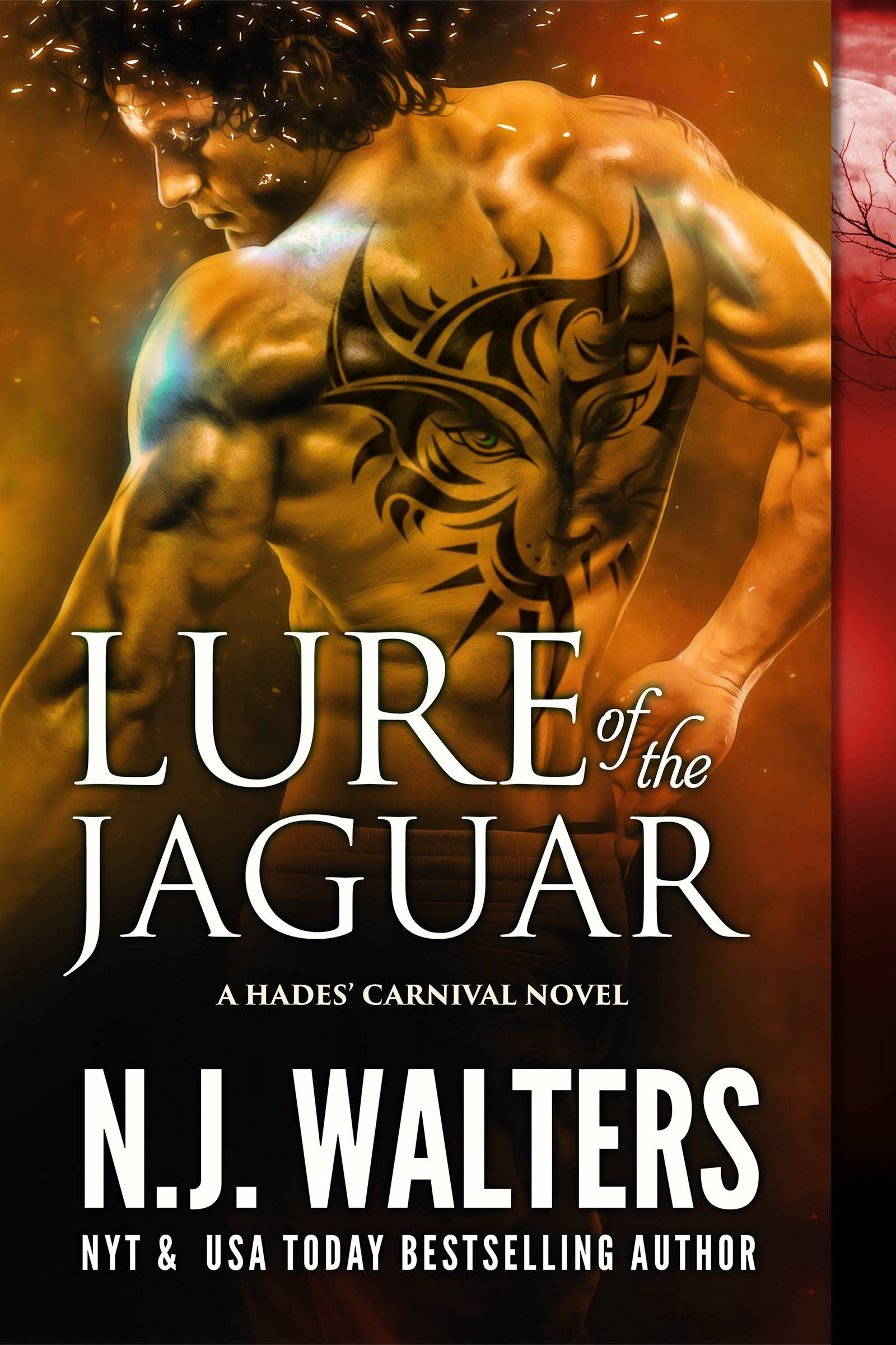 Cover Image