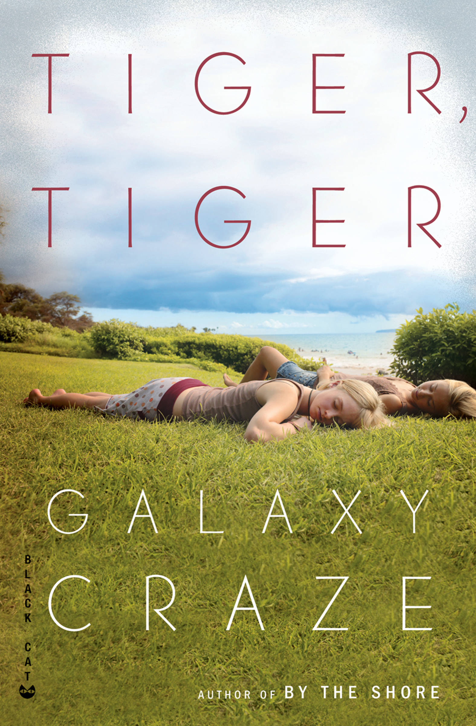 Cover Image
