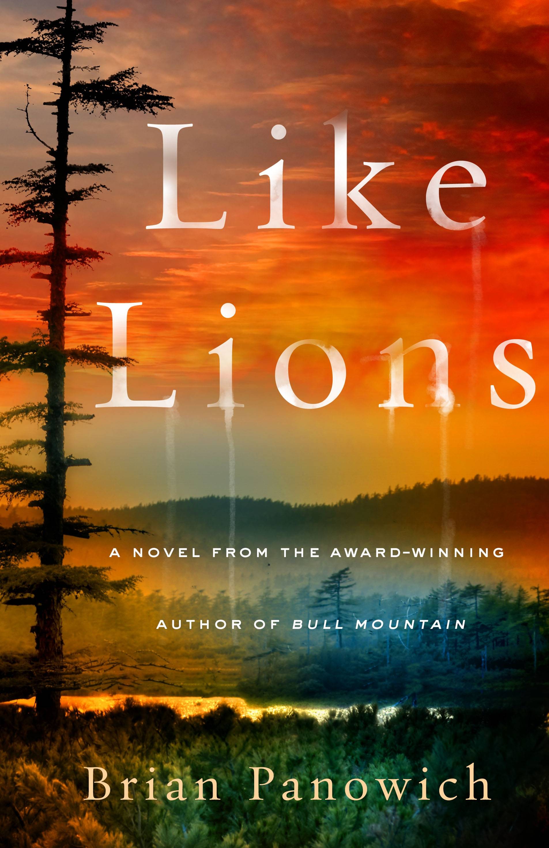 Cover Image