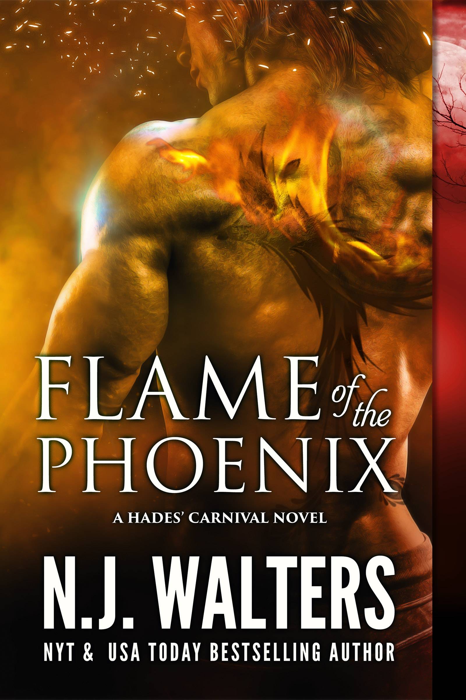 Cover Image