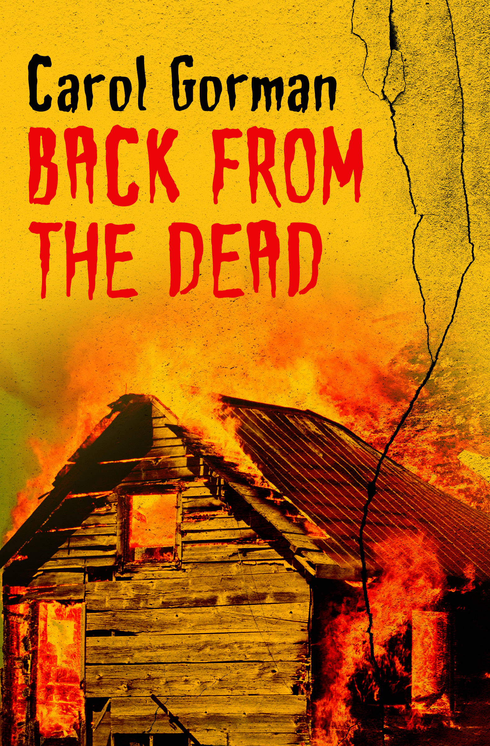 Cover Image